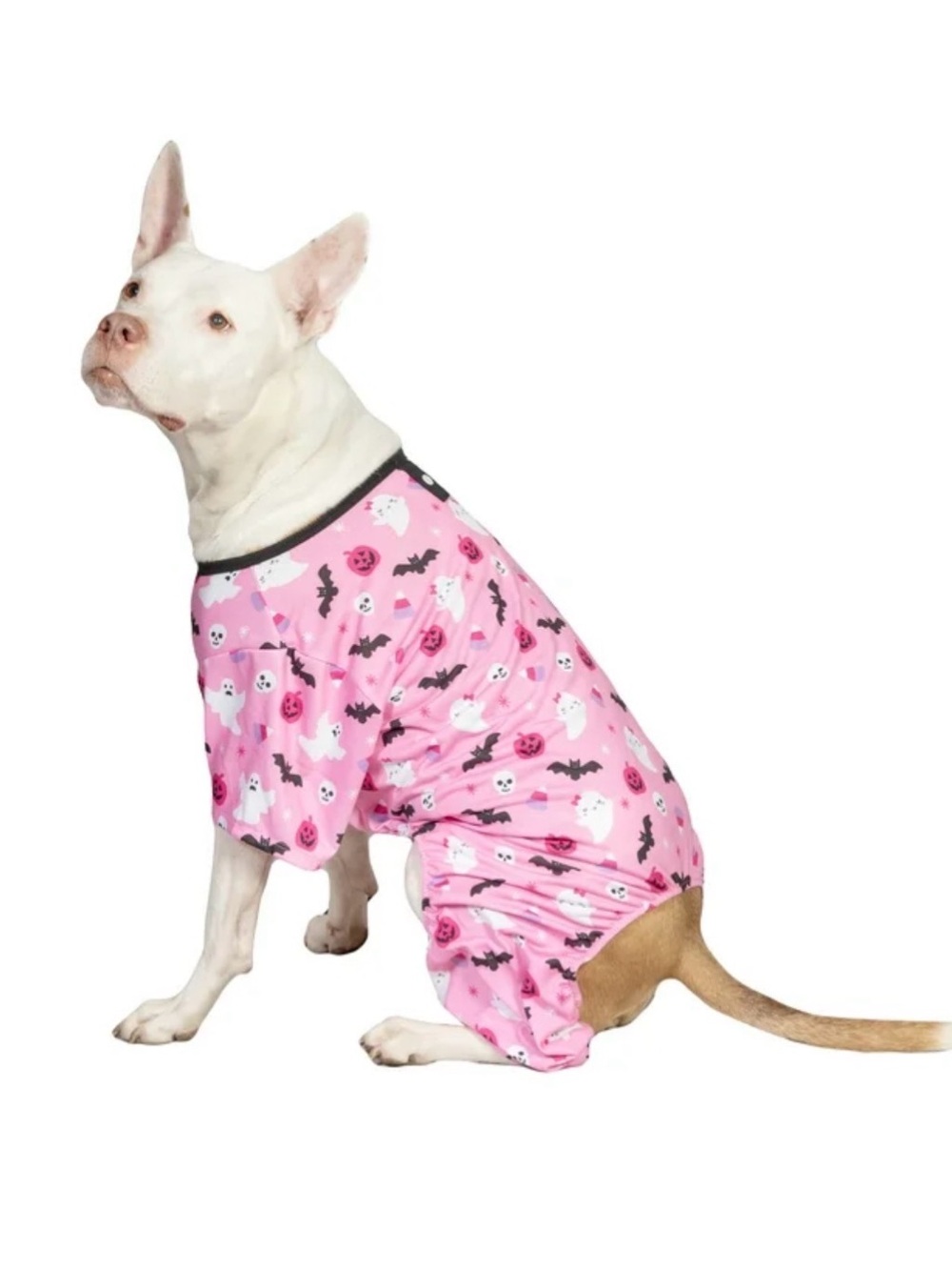 Pink Halloween Ghost & Bat Dog Romper with Black Trim